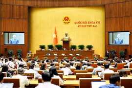 NA deputies hear proposals and verification reports on several draft laws and a report on the implementation of a special mechanism to address legal obstacles on October 23 morning. (Photo: VNA)
