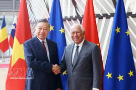 Top leader holds talks with European Council President