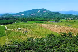 Wartime farm emerges as community tourism destination