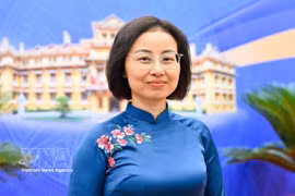 Vietnamese Ambassador to Denmark Nguyen Le Thanh (Photo: VNA)