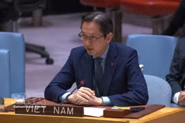 Ambassador Do Hung Viet, Permanent Representative of Vietnam to the United Nations (Photo: VNA)