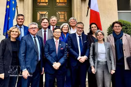 Vietnam’s Ambassador to France Trinh Duc Hai (front row, 3rd from left) in a group photo with Michel Criaud, President of the France – Vietnam Parliamentary Friendship Group (front row, 4th from left), and other participants of a working session in Paris on April 1. (Photo: VNA)