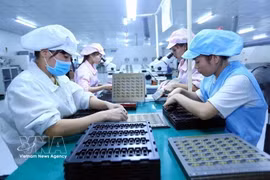 Workers assembles electronic components on the production line at the Bao Sen Co., Ltd. in Bac Ninh province. (Photo: VNA)