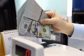 Green credit has expanded steadily with outstanding loans reaching 730 trillion VND (431 billion USD) as of the end of June, up 7.35% from the end of 2024. (Photo: VNA) 