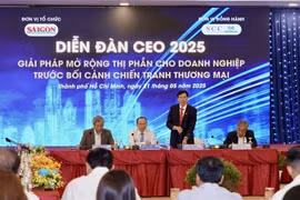 Delegates at the CEO Forum 2025 in HCM City on May 21 (Photo: VNA)