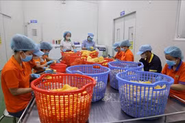 Processing fast consumption items for exports in Ho Chi Minh City. (Photo: VNA)