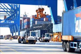 Export activities at Cai Mep - Thi Vai port cluster, Phu My town, Ba Ria - Vung Tau province. (Photo: VNA)