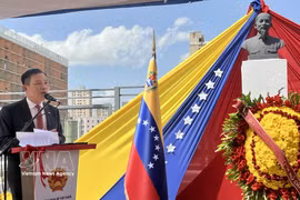 Vietnamese Ambassador to Venezuela Vu Trung My speaks at the event (Photo: VNA)