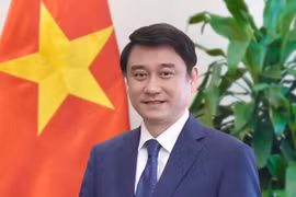 Deputy Foreign Minister Le Anh Tuan (Photo: VNA)