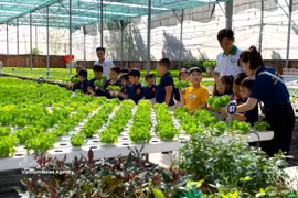 Visitors tour a high-tech vegetable farming model at Tuan Ngoc Agricultural Cooperative in Ho Chi Minh City. (Illustrative photo: VNA)