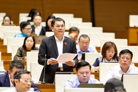 Deputy Duong Khac Mai from Lam Dong province speaks at the session. (Photo: VNA)