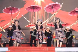 A performance at the opening ceremony of the festivals (Photo: VNA)