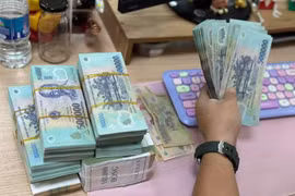 Banks cut deposit and lending rates across the board, supporting economic growth (Photo: VietnamPlus)