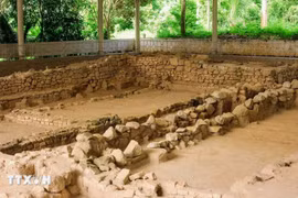 Oc Eo – Ba The is a typical site of the Oc Eo Civilisation, which flourished in southern Vietnam from the 1st to the 7th centuries. (Photo: VNA)