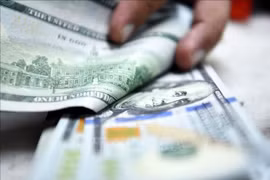 The daily reference exchange rate for the US dollar was set at 24,572 VND/USD on February 13. (Photo: Xinhua/VNA)