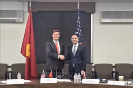 Vietnamese Deputy Minister of Foreign Affairs Dang Hoang Giang (R) and US Acting Assistant Secretary of State Fleet White (Photo: VNA)