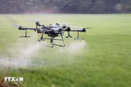 Farmers in An Giang province are using drones to spray pesticides, saving costs, effort, and time. (Photo: VNA)