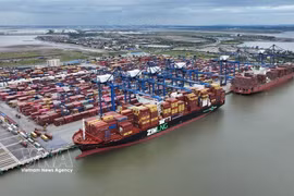 Containers are handled at Lach Huyen Port in Hai Phong city. (Photo: VNA)