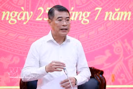 PM Le Minh Hung speaks at the working session (Photo: VNA)