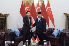 Indonesian President Prabowo Subianto (R) welcomes Singaporean Prime Minister Lawrence Wong in Jakarta on July 6. (Photo: VNA)