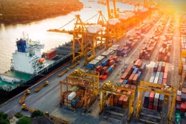 The World Bank assesses that Vietnam's economy continues to grow steadily despite challenges (Photo: VietnamPlus)