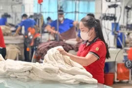 To achieve the textile and garment industry's full-year export target of 48-49 billion USD, monthly export turnover will need to average 4.31-4.46 billion USD over the remaining seven months (Photo: VietnamPlus)