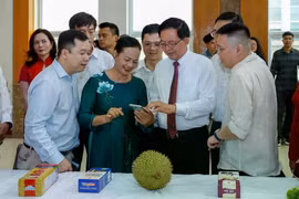 Deputy Prime Minister Ho Quoc Dung and other participants experience Vietnam's agricultural product traceability system on a durian. (Photo: danviet.vn)
