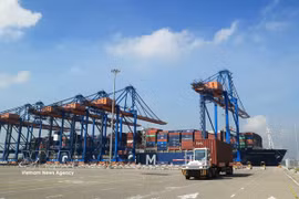 Containers loaded at Cai Mep International Terminal (Photo: VNA)