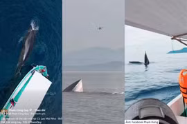 Screenshots from videos and behind-the-scenes footage posted by several photographers on Facebook.