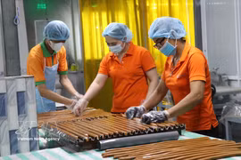 Workers at Cau Ke Wax Coconut Processing Company Limited (Vicosap), Tam Ngai commune, Vinh Long province, process products from wax coconuts. (Photo: VNA)