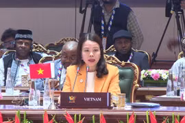 Deputy Minister of Foreign Affairs Nguyen Minh Hang speaks at a discussion session on reforming multilateral systems and global governance, held on May 15, 2026, as part of the expanded BRICS Foreign Ministers’ Meeting in India. (Photo: VNA)