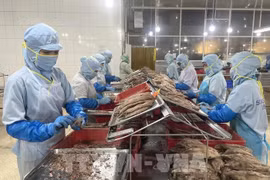 Workers produce canned tuna at the Seaspimex factory in Ho Chi Minh City. (Photo: VNA)