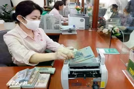 The State Bank of Vietnam set the daily reference exchange rate for the US dollar at 24,837 VND/USD on March 31. (Photo: VNA) 