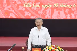 Party General Secretary To Lam speaks at the meeting (Photo: VNA)