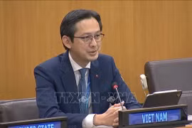 Ambassador Do Hung Viet, Permanent Representative of Vietnam to the UN (Photo: VNA)