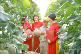 Agribank allocates significant capital to the green agriculture sector. (Photo: VNA)