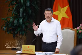 Prime Minister Le Minh Hung speaks at the meeting (Photo: VNA)