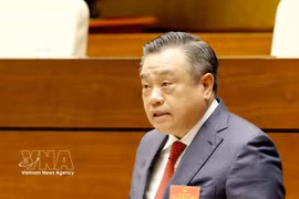 Politburo member, Secretary of the Party Central Committee, and Chairman of the Party Central Committee's Inspection Commission Tran Sy Thanh speaks at the conference. (Photo: VNA)