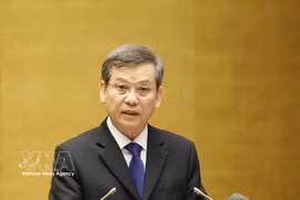 Politburo member, Secretary of the Party Central Committee and Chairman of its Commission for Internal Affairs Le Minh Tri speaks at the conference. (Photo: VNA)
