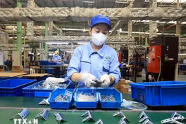 At Thang Long Industrial Park II in Hung Yen (Photo: VNA)