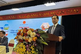 Deputy Prime Minister Bui Thanh Son (Photo: VNA)