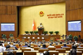 At the National Assembly's sitting on December 10, 2025 (Photo: VNA)