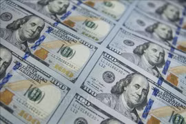 The daily reference exchange rate is at 25,135 VND/USD on January 15. (Photo: VNA)