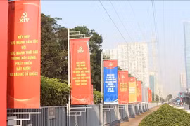 Streets, pavements and public spaces in Hanoi are decorated to welcome the 14th National Party Congress. (Photo: VNA)