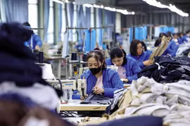 The garment-textile sector is among the industries that have made the most of the EVFTA to boost exports to Europe. (Photo: baodautu.vn)