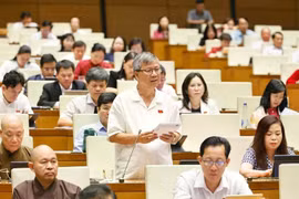 A legislator comments on a draft law at a plenery of the National Assembly's ongoing 9th session. (Photo: VNA)