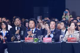 Participants in the high-level dialogue of the Vietnam Private Sector Forum (VPSF) 2025. (Photo: VNA)