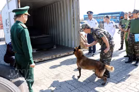 A customs anti-drug exercise demonstrates the use of container scanners, detection dogs, handheld drug-testing devices and specialised equipment to uncover narcotics hidden inside a cargo container. (Photo: VNA)
