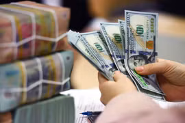 The daily reference exchange rate is set at 25,268 VND/USD on August 28. (Photo: VNA)