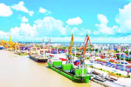 Chua Ve container port in Hai Phong (Photo: nhandan.vn)